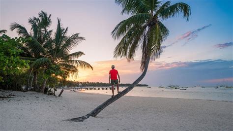 Find cheap flights from Florida to Punta Cana from $72 This is the cheapest one-way flight price found by a KAYAK user in the last 72 hours by searching for a flight departing on 3/27. Fares are subject to change and may not be available on all flights or dates of travel. 